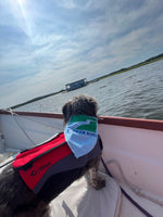 Parker River Bandana
